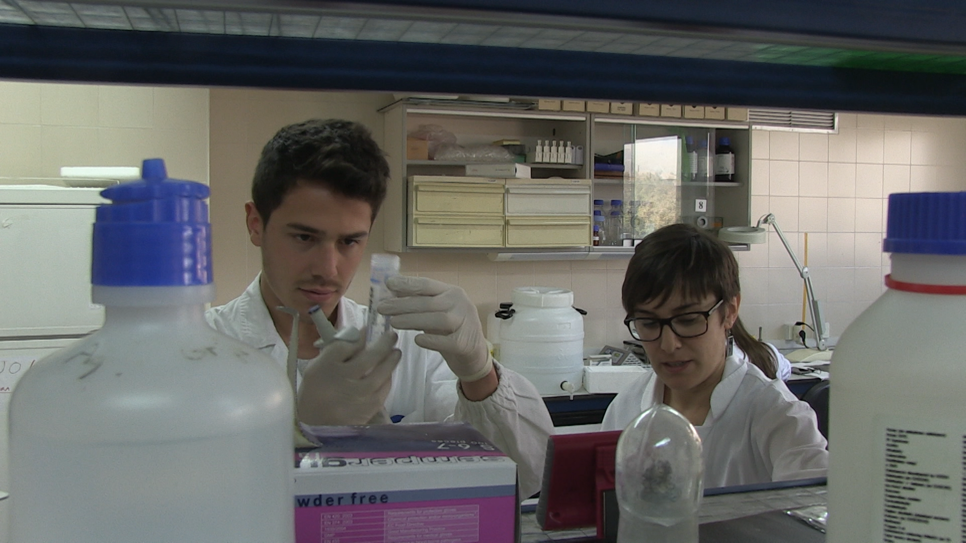 Imagen de la portada del video;Cap. 02: Estudi del circuit cerebral de recompensa de les rates